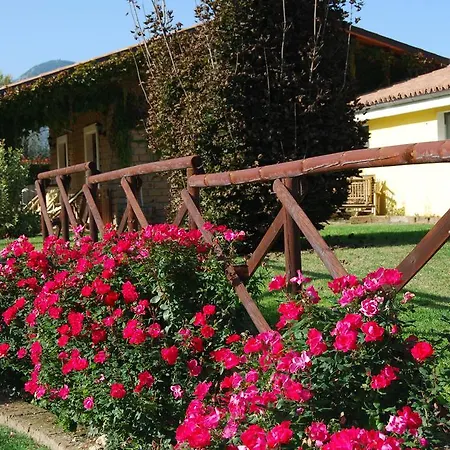 Casale Delle Rose Bed & Breakfast