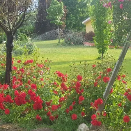 Casale Delle Rose Bed & Breakfast *