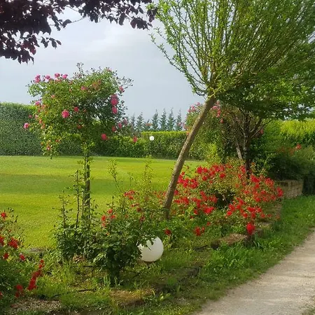 Casale Delle Rose Bed & Breakfast *