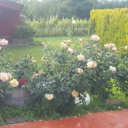 Casale Delle Rose Bed & Breakfast