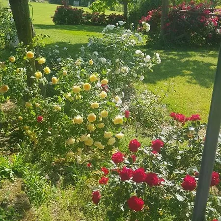 Casale Delle Rose *