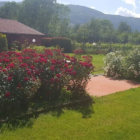Casale Delle Rose Bed & Breakfast *