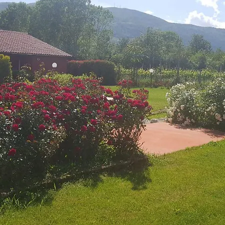 Casale Delle Rose Bed & Breakfast *