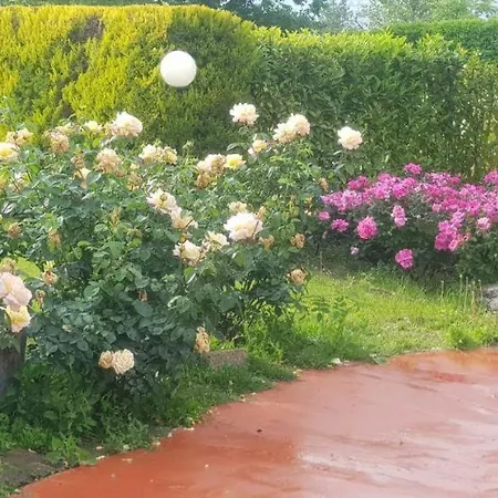 Casale Delle Rose Bed & Breakfast *