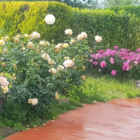 Casale Delle Rose Bed & Breakfast *