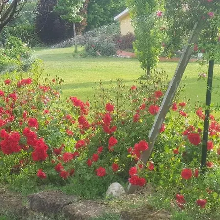 Casale Delle Rose