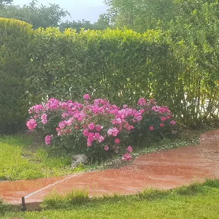 Casale Delle Rose Bed & Breakfast *