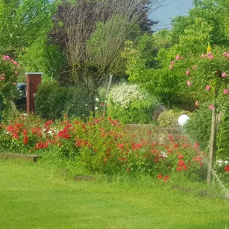 Bed & Breakfast Casale Delle Rose