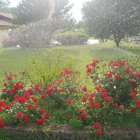 Casale Delle Rose
