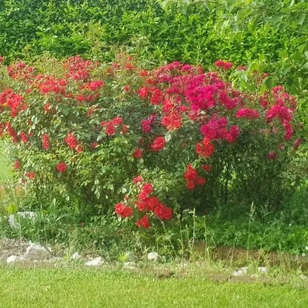 Casale Delle Rose Raiano